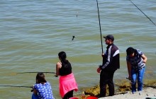 Большая рыбалка на Пушкинской набережной в Таганроге.