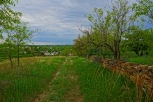 Хутор Крутинский на берегу Калитвы. История и загадки. Старая мельница под Лазоревой горой и музей в детском саду.
