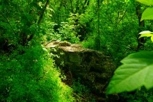 Хутор Крутинский на берегу Калитвы. История и загадки. Старая мельница под Лазоревой горой и музей в детском саду.