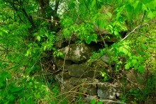 Старая мельница у хутора Крутинского на реке Калитве.