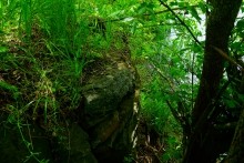 Старая мельница у хутора Крутинского на реке Калитве.