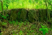 Старая мельница у хутора Крутинского на реке Калитве.