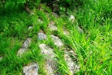 Старая мельница у хутора Крутинского на реке Калитве.