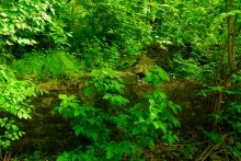 Старая мельница у хутора Крутинского на реке Калитве.