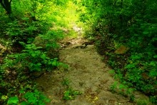 Старая мельница у хутора Крутинского на реке Калитве.