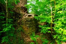 Старая мельница у хутора Крутинского на реке Калитве.