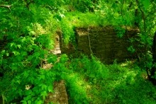 Старая мельница у хутора Крутинского на реке Калитве.