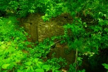 Старая мельница у хутора Крутинского на реке Калитве.