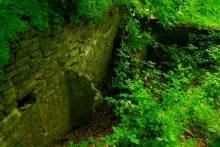 Старая мельница у хутора Крутинского на реке Калитве.