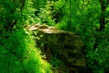 Старая мельница у хутора Крутинского на реке Калитве.