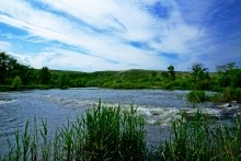 Старая мельница у хутора Крутинского на реке Калитве.