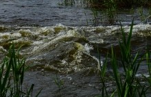 Старая мельница у хутора Крутинского на реке Калитве.