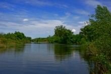 Старая мельница у хутора Крутинского на реке Калитве.