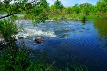 Старая мельница у хутора Крутинского на реке Калитве.