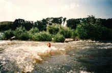 Старая мельница у хутора Крутинского на реке Калитве.