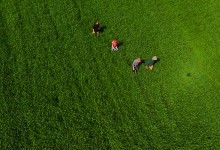 Бои за Ростов 17 декабря 1941 г. Батарея Оганова.