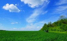 Бои за Ростов 17 декабря 1941 г. Батарея Оганова.