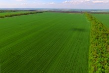 Бои за Ростов 17 декабря 1941 г. Батарея Оганова.