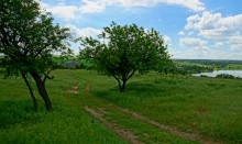 Удивительно красивый Бородиновский лес и скалы по берегам Северского Донца.