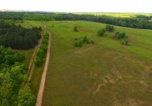 Удивительно красивый Бородиновский лес и скалы по берегам Северского Донца.