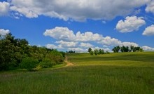 Удивительно красивый Бородиновский лес и скалы по берегам Северского Донца.