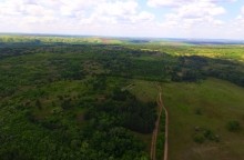 Удивительно красивый Бородиновский лес и скалы по берегам Северского Донца.