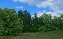 Удивительно красивый Бородиновский лес и скалы по берегам Северского Донца.