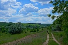 Удивительно красивый Бородиновский лес и скалы по берегам Северского Донца.