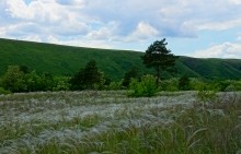 Удивительно красивый Бородиновский лес и скалы по берегам Северского Донца.