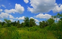 Удивительно красивый Бородиновский лес и скалы по берегам Северского Донца.