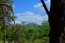 Удивительно красивый Бородиновский лес и скалы по берегам Северского Донца.