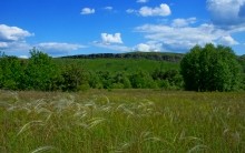 Удивительно красивый Бородиновский лес и скалы по берегам Северского Донца.