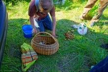 Удивительно красивый Бородиновский лес и скалы по берегам Северского Донца.