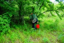 Удивительно красивый Бородиновский лес и скалы по берегам Северского Донца.