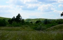 Удивительно красивый Бородиновский лес и скалы по берегам Северского Донца.