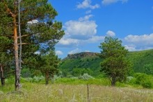 Удивительно красивый Бородиновский лес и скалы по берегам Северского Донца.