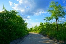 Удивительно красивый Бородиновский лес и скалы по берегам Северского Донца.