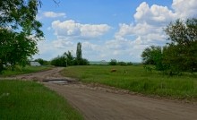 Удивительно красивый Бородиновский лес и скалы по берегам Северского Донца.