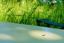 Место слияния Дона и Северского Донца у островов Куркин и Чебачий.