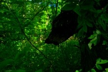 Место слияния Дона и Северского Донца у островов Куркин и Чебачий.