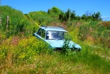 Автомобильный рай