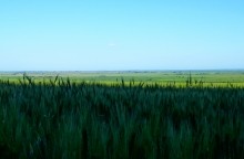 Дорога из Малого Мишкина в Большой Мишкин и дальше в Старочеркаскую