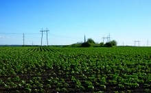 Отпечаток противотанкового рва у хутора Малый Мишкин на месте массовых расстрелов.