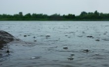 Дождь на Камплице