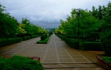 После дождя