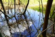 Исток Темерника - самой ростовской реки.