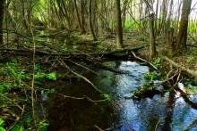 Исток Темерника - самой ростовской реки.