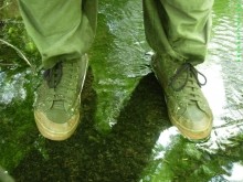 Исток Темерника - самой ростовской реки.