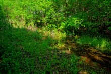 Исток Темерника - самой ростовской реки.