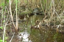 Исток Темерника - самой ростовской реки.